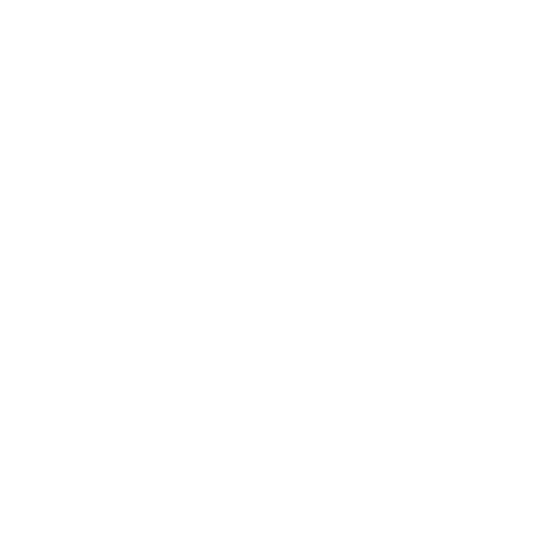 D.P ZULIA