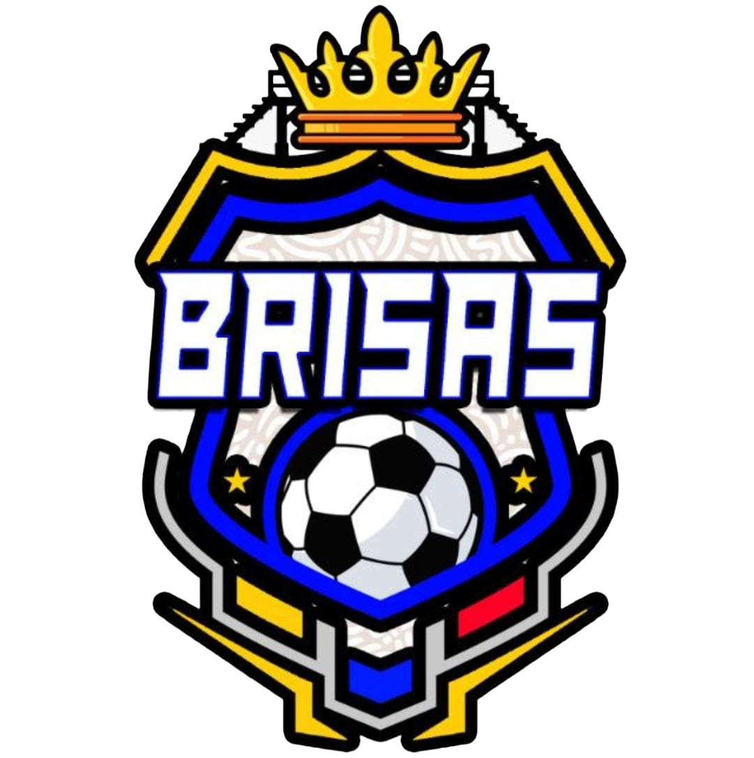 BRISAS DEL PARAISO, F.S.