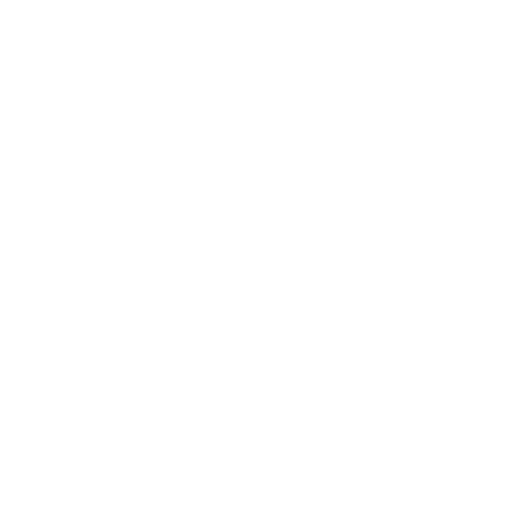 LOS AMIGOS